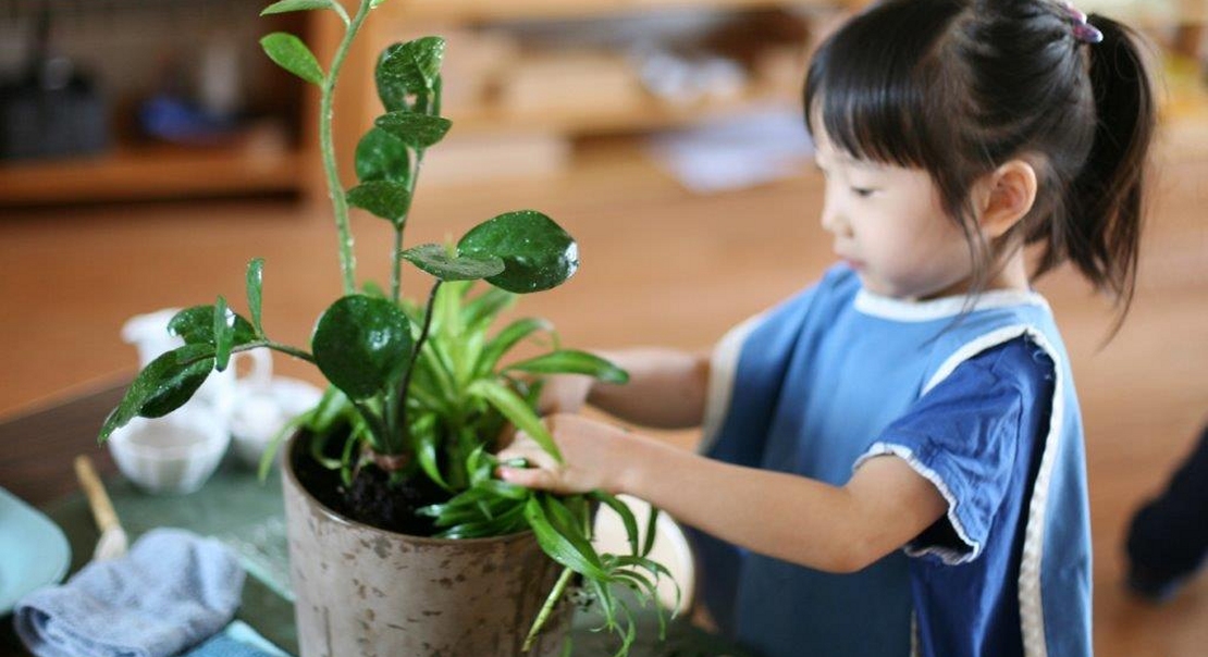 being-green-title Westside Montessori Toronto